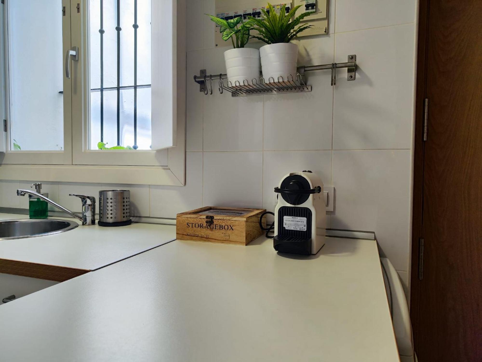Suite Del Mercado Little Apartments Cádiz Buitenkant foto